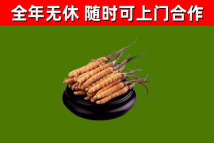 衡阳市烟酒回收冬虫夏草.jpg